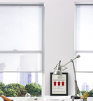 Vinyl Roller Shades